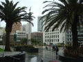 Downtown